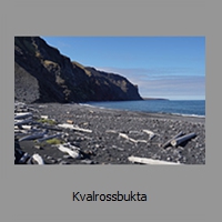 Kvalrossbukta